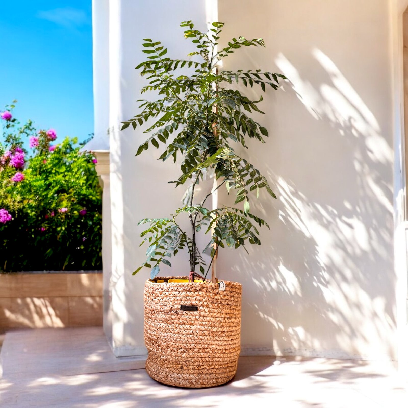 Image showing Jute Planter with plant pot in it
